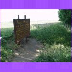 Site - Dug Out Home.jpg